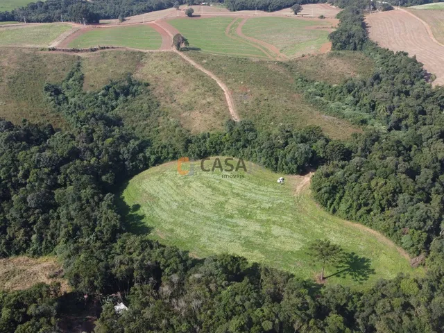 Imagem 10: TERRENO PARA FORMAÇÃO DE CHÁCARA PRÓXIMO AO CENTRO DE CAMPO LARGO