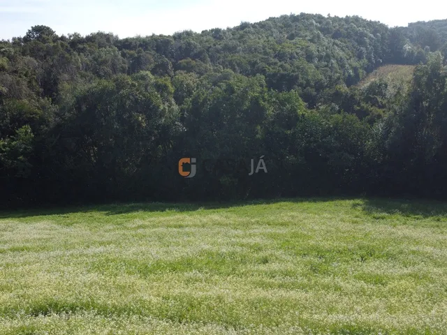 Imagem 13: TERRENO PARA FORMAÇÃO DE CHÁCARA PRÓXIMO AO CENTRO DE CAMPO LARGO