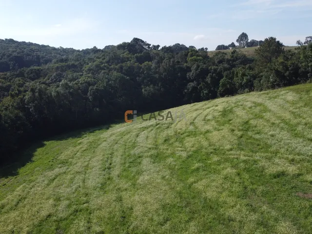 Imagem 16: TERRENO PARA FORMAÇÃO DE CHÁCARA PRÓXIMO AO CENTRO DE CAMPO LARGO