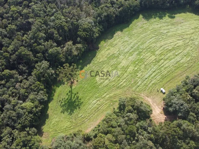 Imagem 8: TERRENO PARA FORMAÇÃO DE CHÁCARA PRÓXIMO AO CENTRO DE CAMPO LARGO