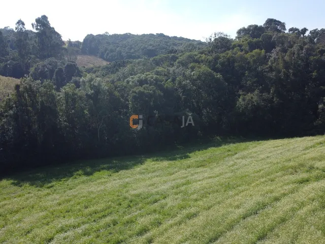 Imagem 11: TERRENO PARA FORMAÇÃO DE CHÁCARA PRÓXIMO AO CENTRO DE CAMPO LARGO