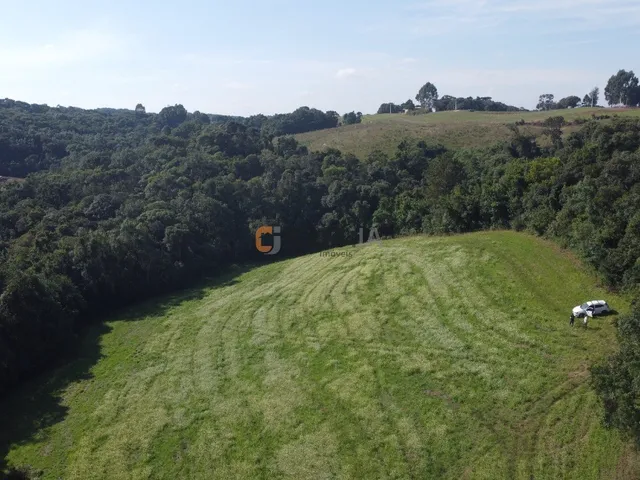 Imagem 5: TERRENO PARA FORMAÇÃO DE CHÁCARA PRÓXIMO AO CENTRO DE CAMPO LARGO
