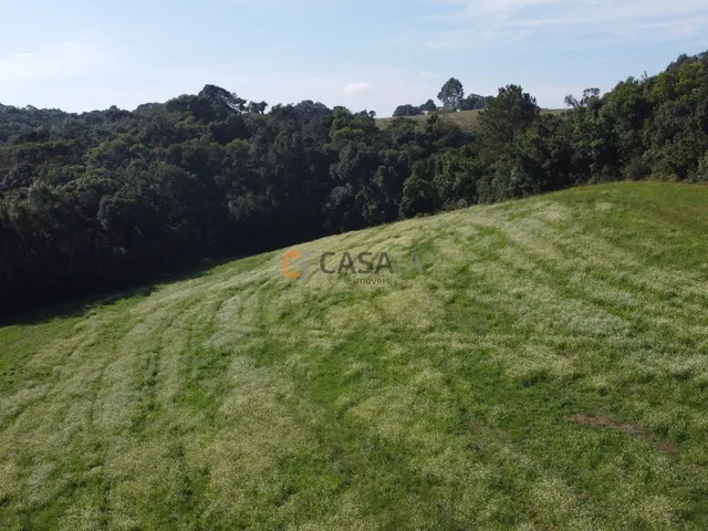 Imagem 6: TERRENO PARA FORMAÇÃO DE CHÁCARA PRÓXIMO AO CENTRO DE CAMPO LARGO