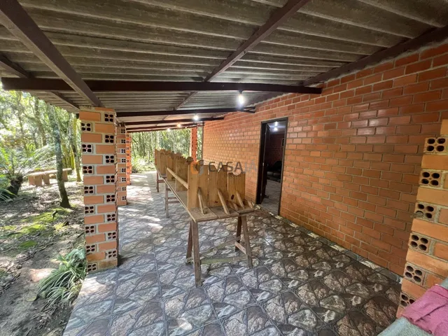 Imagem 8: CHÁCARA FORMADA ENTRE CAMPO LARGO E BALSA NOVA