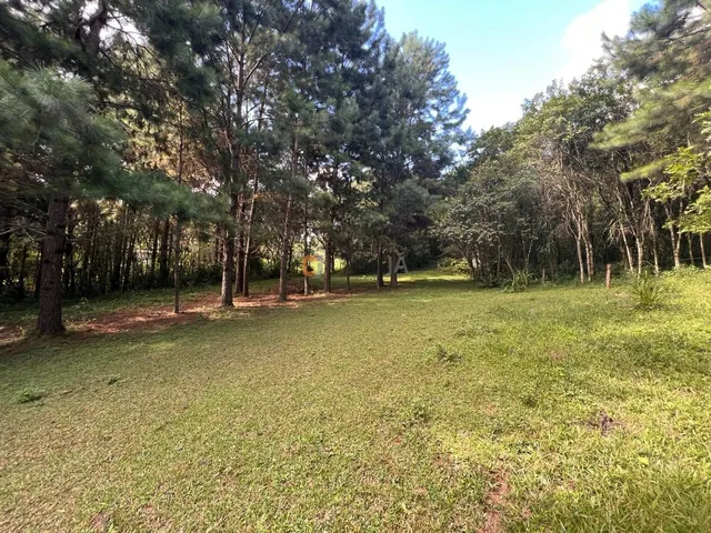 Imagem 13: CHÁCARA FORMADA ENTRE CAMPO LARGO E BALSA NOVA