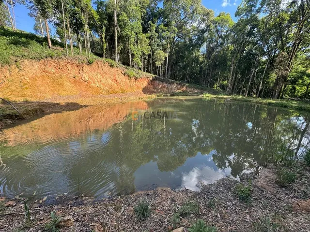 Imagem: CHÁCARA FORMADA, 500m ESTRADA DE CHÃO