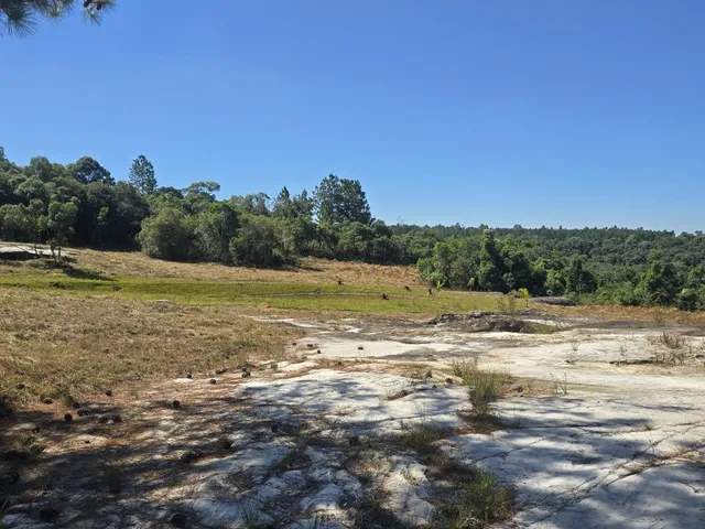 Imagem 15: Chácara à Venda em Balsa Nova-PR: Refúgio Natural de 20.282 m² com Vista Deslumbrante!
