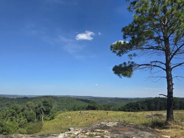 Imagem 10: Chácara à Venda em Balsa Nova-PR: Refúgio Natural de 20.282 m² com Vista Deslumbrante!