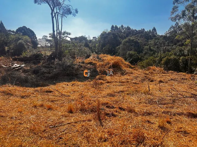 Imagem 4: TERRENO RURAL em CAMPO LARGO - PR, VILA DELURDES