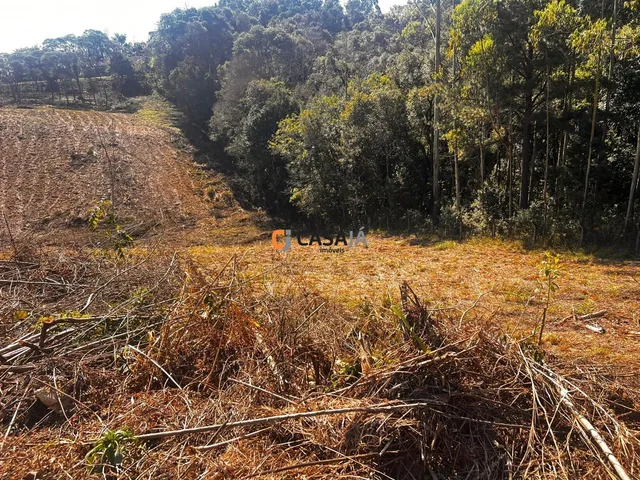 Imagem 7: TERRENO RURAL em CAMPO LARGO - PR, VILA DELURDES