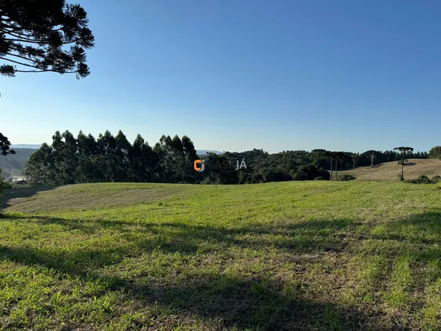 Imagem 2: TERRENO RURAL em BALSA NOVA - PR, Rodeio Santo Antonio