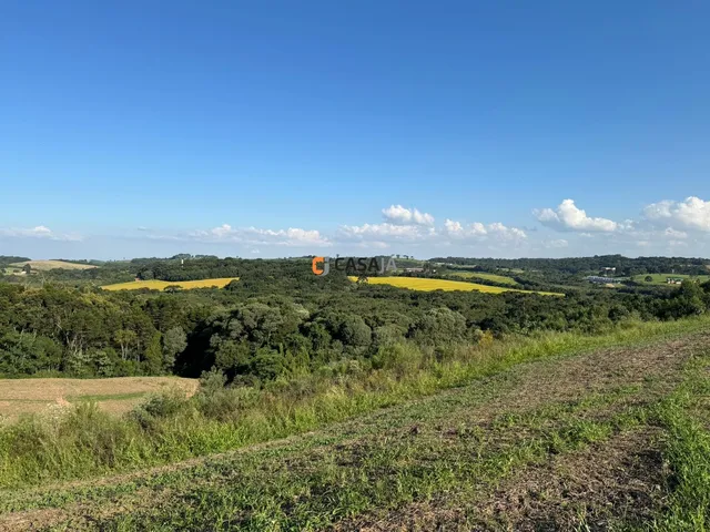 Imagem 5: TERRENO RURAL em BALSA NOVA - PR, Rodeio Santo Antonio