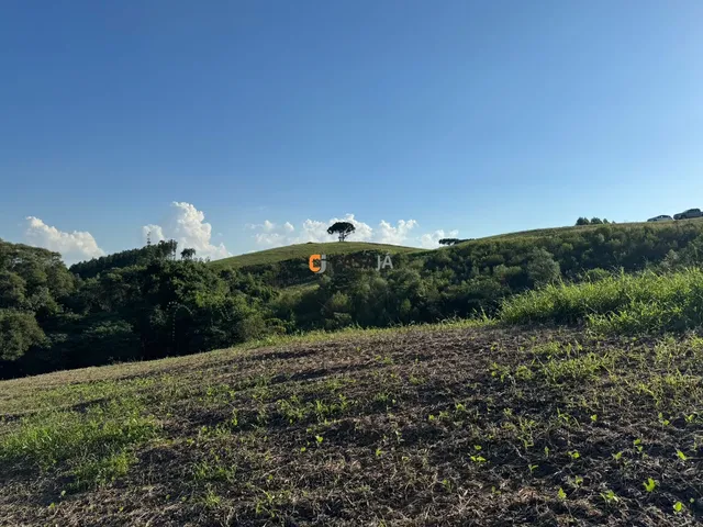 Imagem 8: TERRENO RURAL em BALSA NOVA - PR, Rodeio Santo Antonio