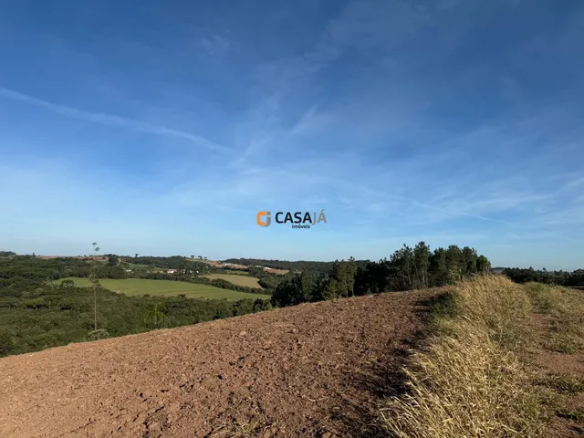 Imagem 11: TERRENO RURAL em BALSA NOVA - PR, Rodeio Santo Antonio