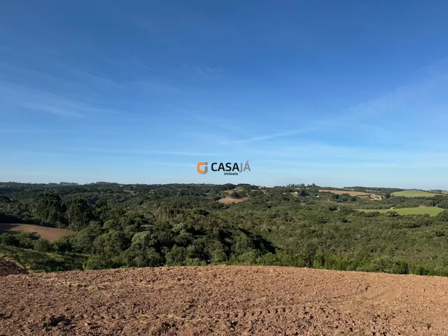Imagem 14: TERRENO RURAL em BALSA NOVA - PR, Rodeio Santo Antonio