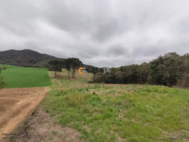 Imagem 12: TERRENO RURAL em CAMPO LARGO - PR, OURO VERDE