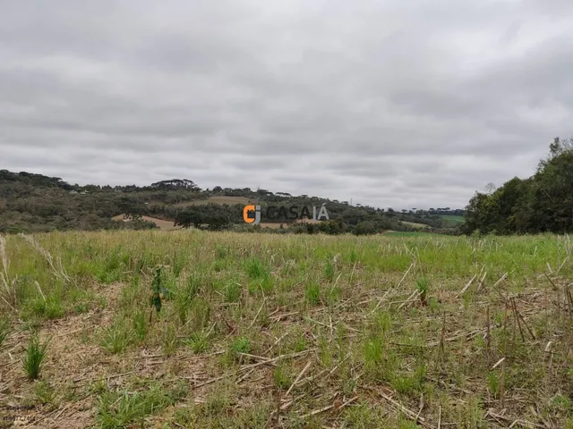 Imagem 14: TERRENO RURAL em CAMPO LARGO - PR, OURO VERDE