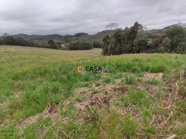 Imagem 5: TERRENO RURAL em CAMPO LARGO - PR, OURO VERDE