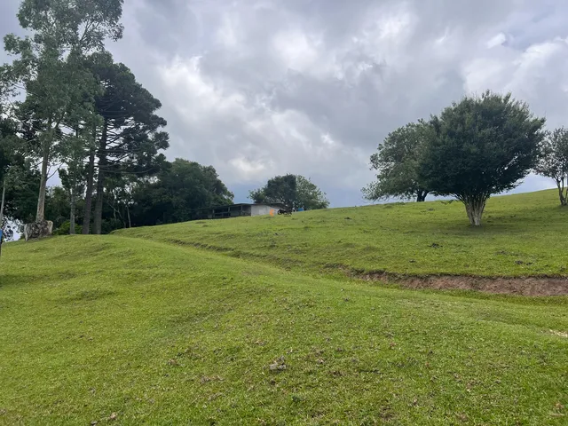 Imagem 13: CASA RESIDENCIAL em Balsa Nova - PR, Bugre