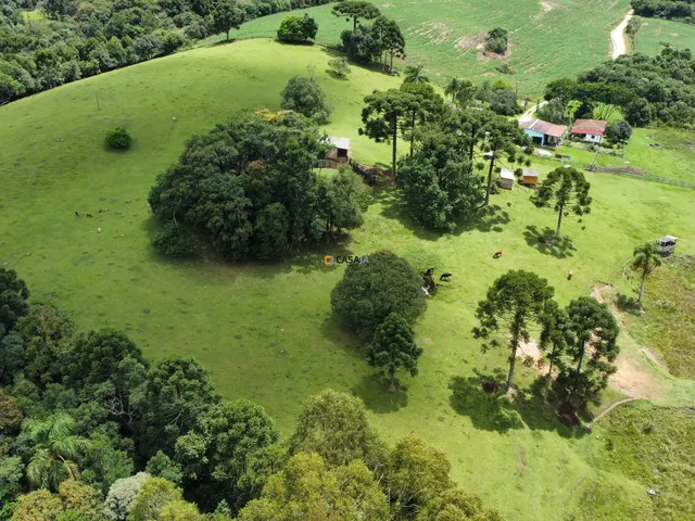 Imagem 16: CASA RESIDENCIAL em Balsa Nova - PR, Bugre