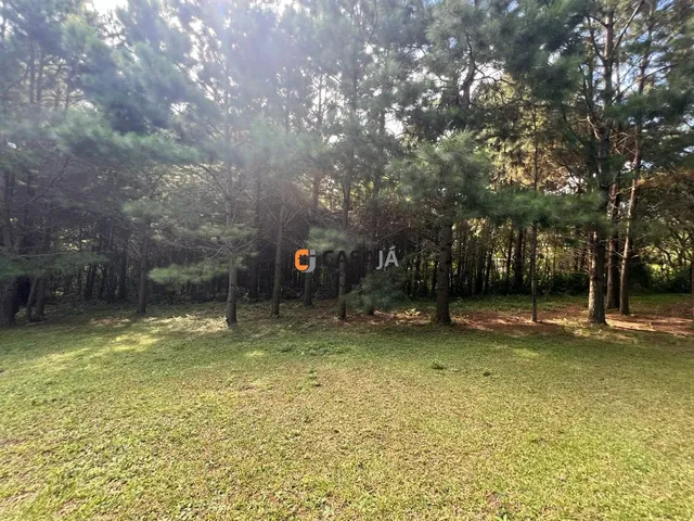 Imagem 10: CHACARA RESIDENCIAL em BALSA NOVA - PR, Rodeio Santo Antonio