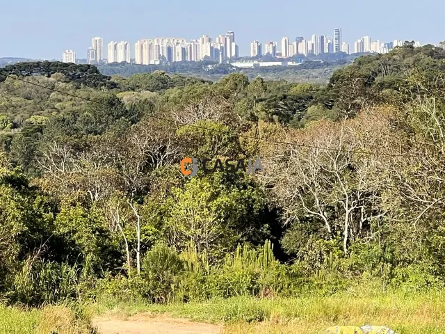 Imagem 3: TERRENO RURAL em CAMPO LARGO - PR, VILA DAVID ANTÔNIO