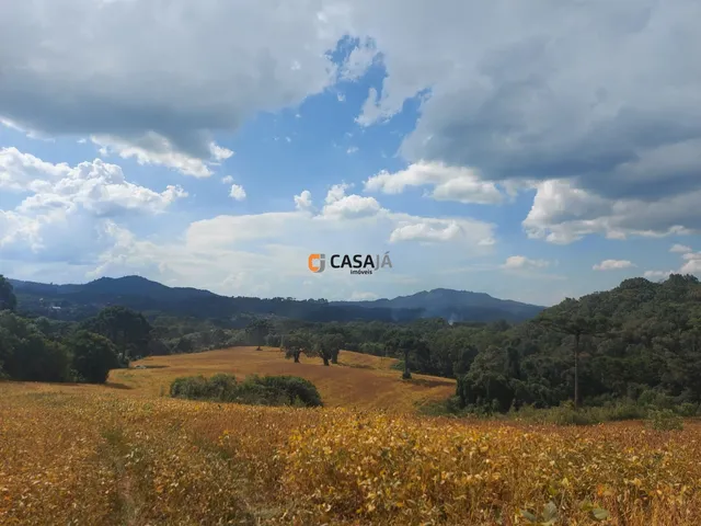 Imagem 1: TERRENO RURAL em Campo Largo - PR, Bateias