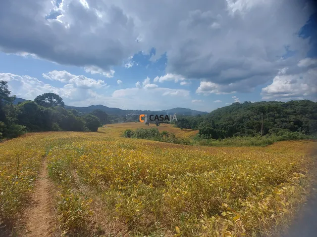 Imagem 4: TERRENO RURAL em Campo Largo - PR, Bateias
