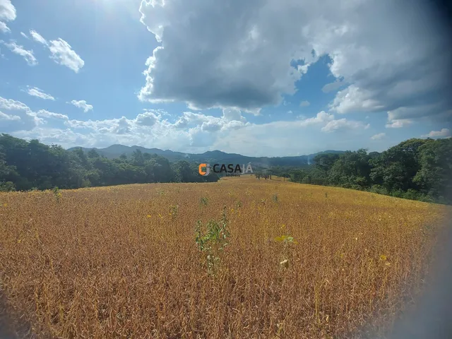 Imagem 10: TERRENO RURAL em Campo Largo - PR, Bateias