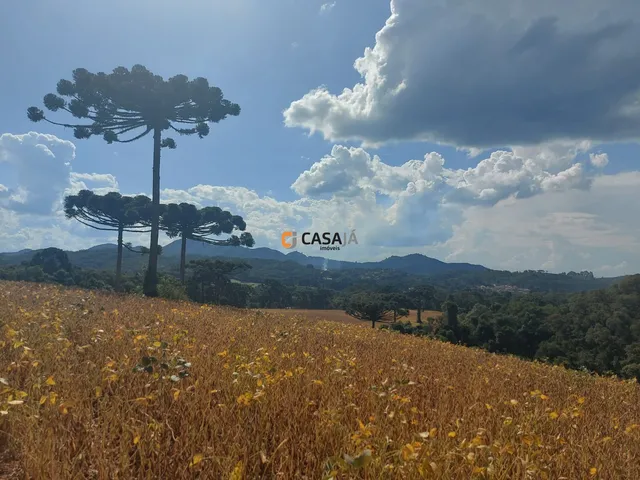 Imagem 13: TERRENO RURAL em Campo Largo - PR, Bateias