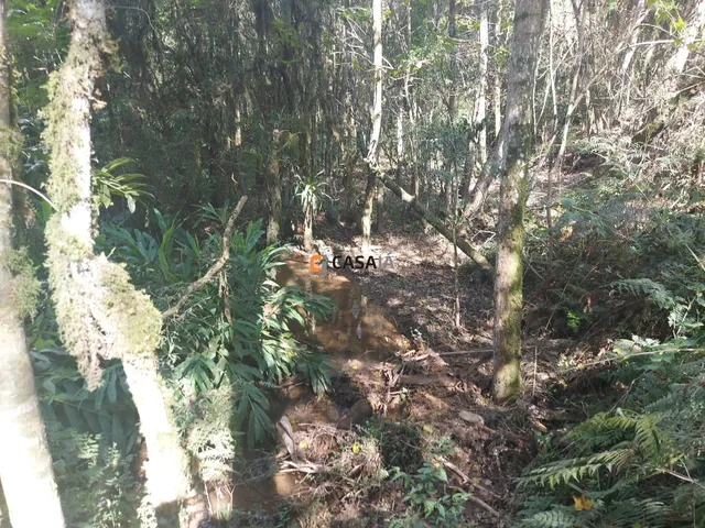 Imagem 16: TERRENO RURAL em Campo Largo - PR, Bateias