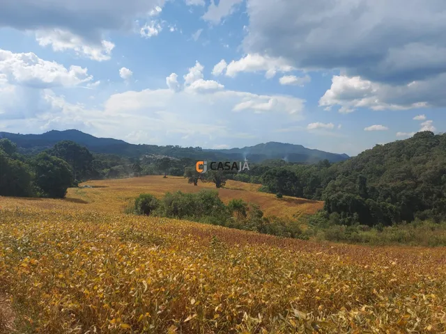 Imagem 6: CHACARA RURAL em Campo Largo - PR, Bateias