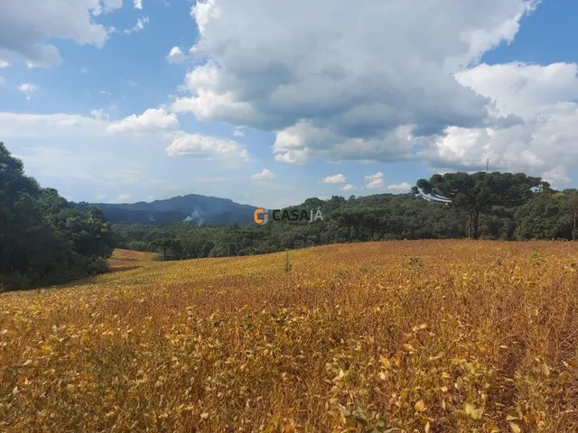 Imagem 9: CHACARA RURAL em Campo Largo - PR, Bateias