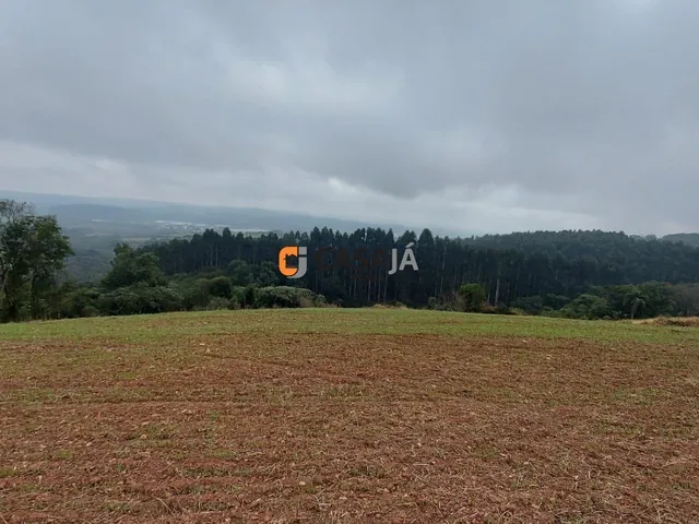Imagem 2: CHACARA RURAL em LAPA - PR, Itabaúna