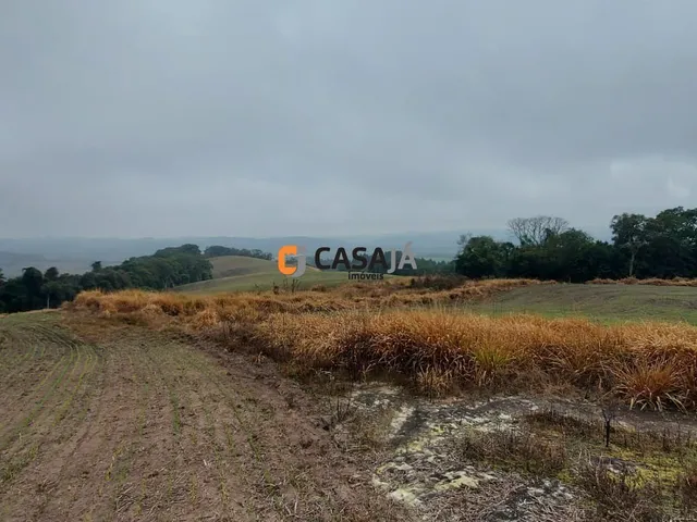 Imagem 11: CHACARA RURAL em LAPA - PR, Itabaúna