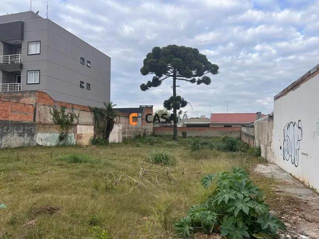 Imagem 7: TERRENO RESIDENCIAL em CAMPO LARGO - PR, CENTRO