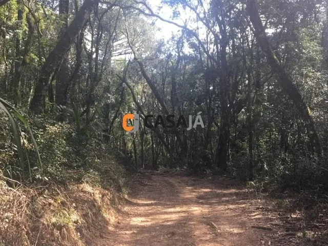 Imagem: CHACARA RURAL em CONTENDA - PR, Herval do