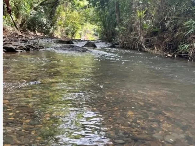Imagem 6: Sitio em Alfredo Wagner - Barrinha