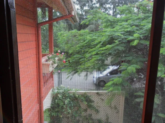 Imagem 5: Casa em cacupe Casa com 4 dormitórios