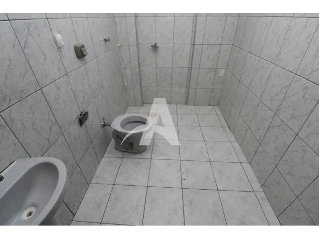 Imagem 5: Aluguel Apartamento Umuarama