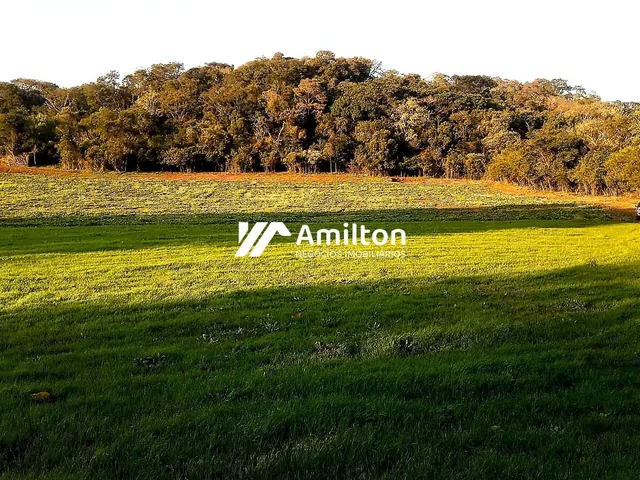 Imagem: O terreno possui 41.700m² de Área e está localizado em