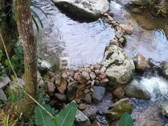 Imagem 7: Chácara em Limeira - Biguaçu