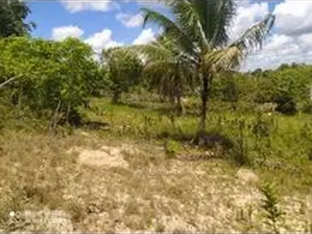 Imagem: Vende-Se Terreno