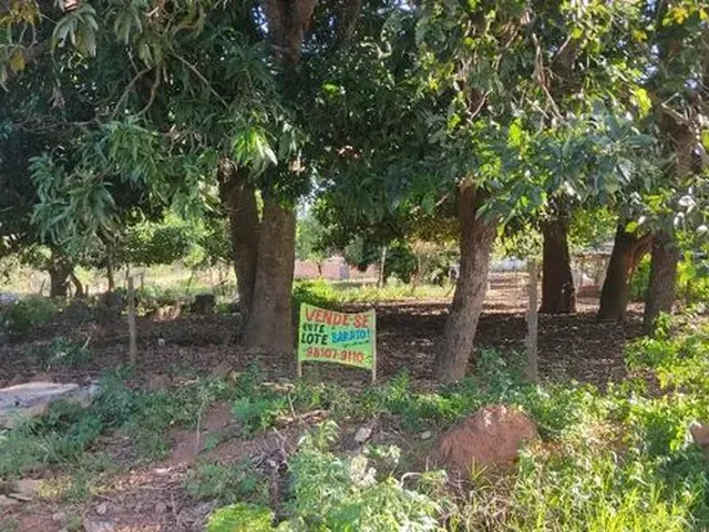 Imagem: Vende-Se 2 Lotes Escriturados Grandes Baratos