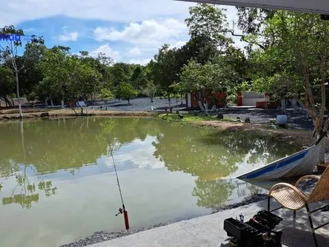 Imagem: Chácara com 4 Dormitórios À Venda no