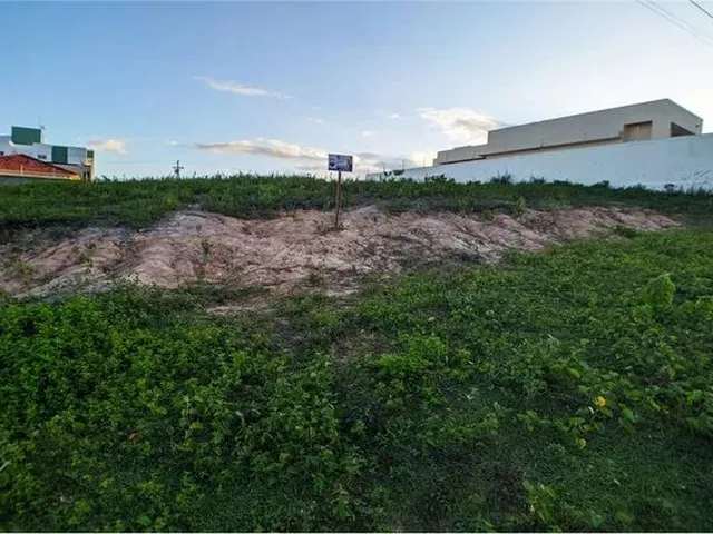 Imagem: Terreno Residencial / Edward Rocha