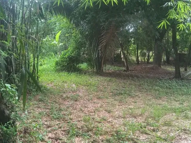Imagem: Terreno em São Gonçalo/ Pacheco