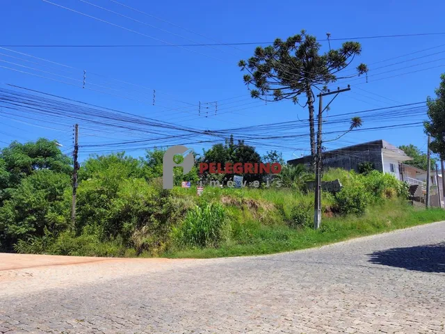 Imagem: Pelegrino Imóveis Vende Terreno em Camaquã