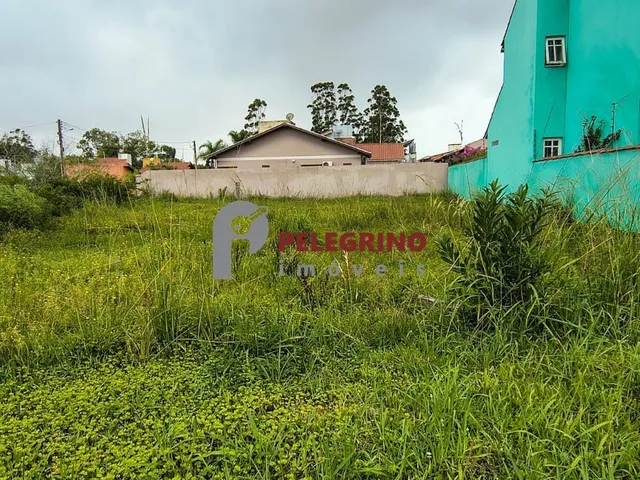 Imagem: Pelegrino Imóveis Vende Terreno no Bairro