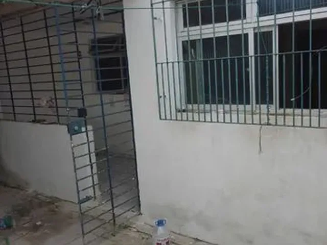 Imagem: Cajueiro